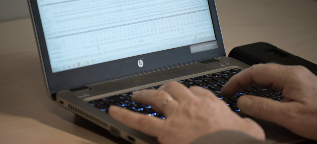 RaiBay działa jak Allegro, ale wylicytować można tam... programistów