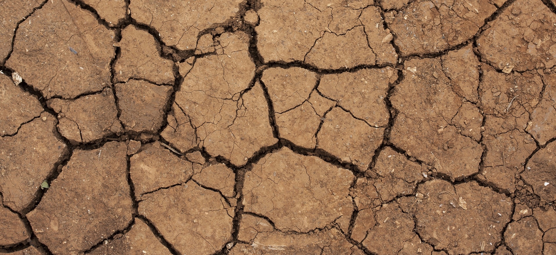 Zmiany klimatyczne będą kosztować biznes bilion dolarów. To może być dobra inwestycja