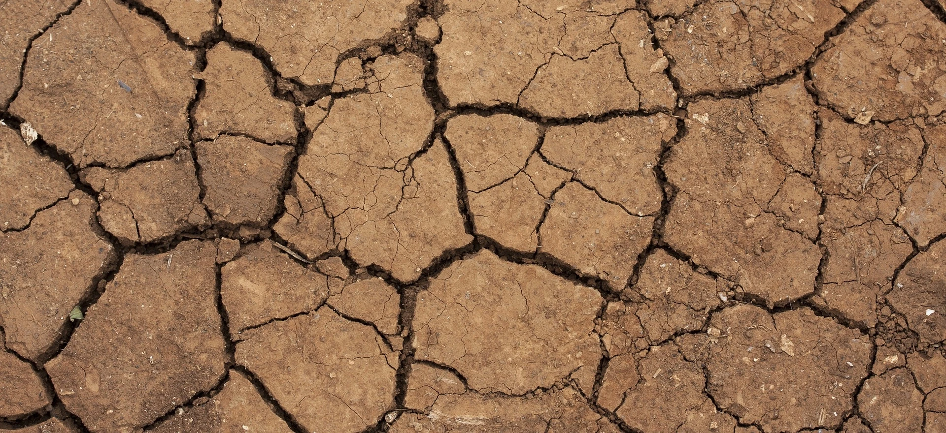 Zmiany klimatyczne będą kosztować biznes bilion dolarów. To może być dobra inwestycja