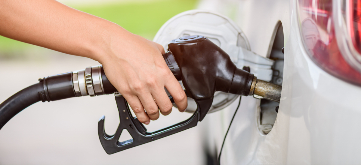 biodiesel z Wrocławia