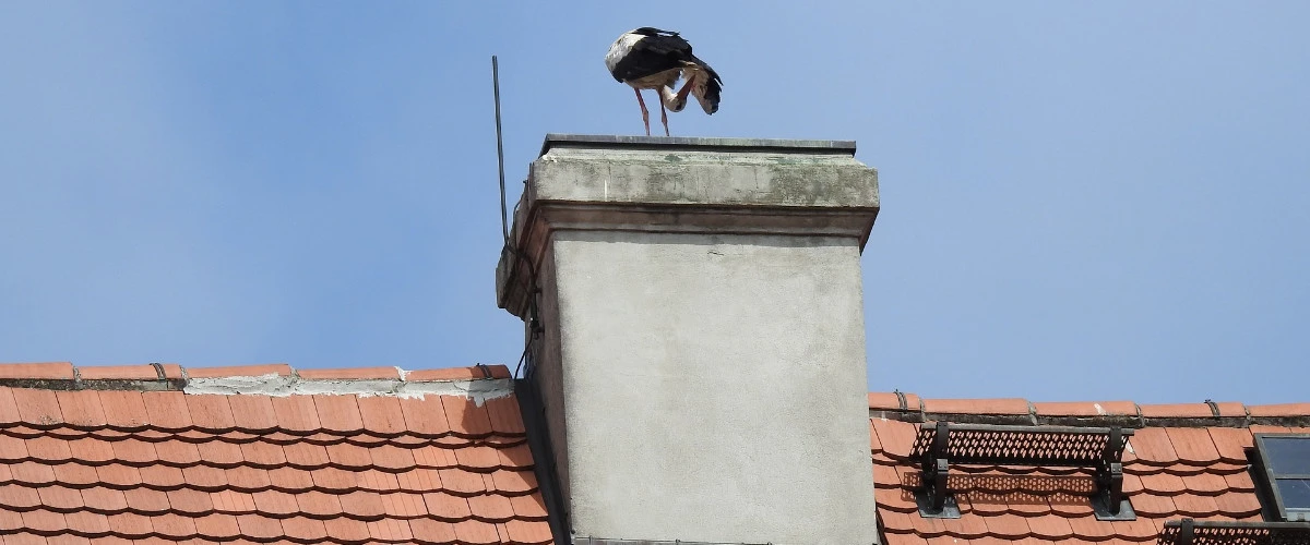 Program Czyste Powietrze i zagrożone miliardy od Unii. Małe zainteresowanie gmin