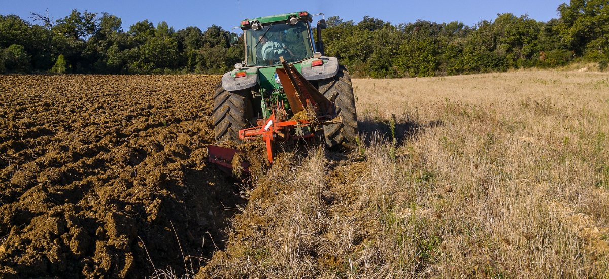 Krajowa Grupa Spożywcza nowy holding
