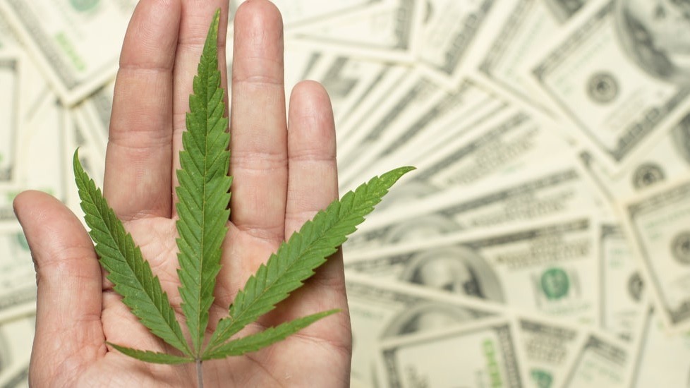 Marihuana legalna i z akcyzą? Nowy pomysł na zasypywanie socjalnych dziur w państwowej kasie