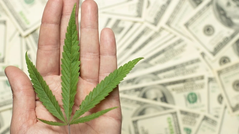 Marihuana legalna i z akcyzą? Nowy pomysł na zasypywanie socjalnych dziur w państwowej kasie