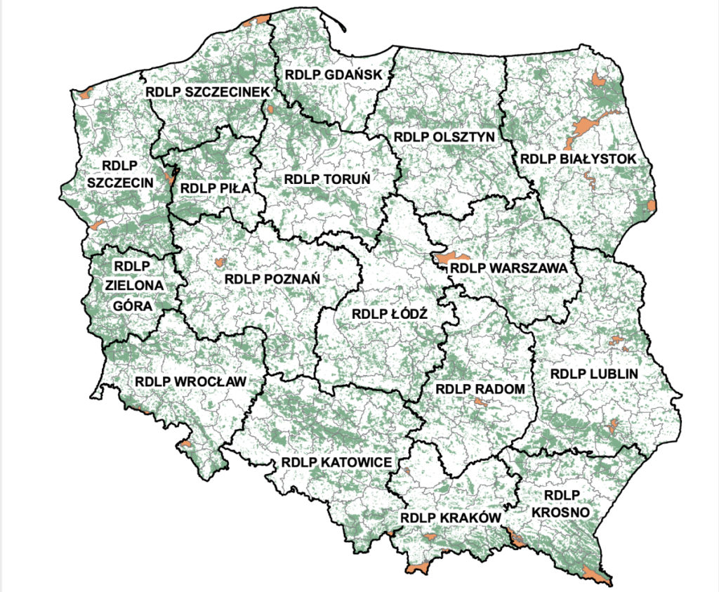class="wp-image-1034569"