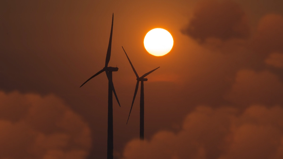 Niemcy stawiają na energię z wiatru i znoszą limity. Polacy przyglądają się temu zza zwałów węgla