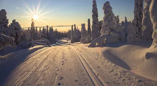 Chcesz poczuć magię świąt? To miejsce zachwyci nawet sceptyków