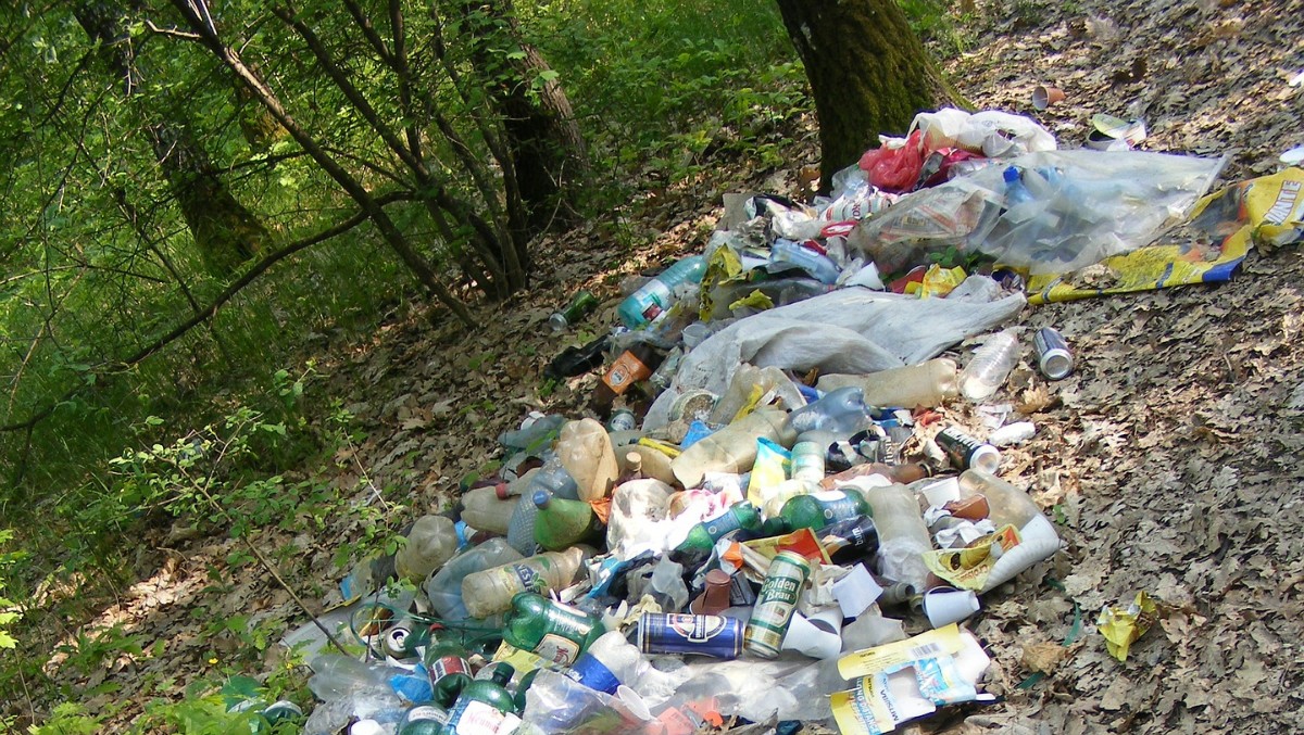 śmiecenie-w-lasach-prawo