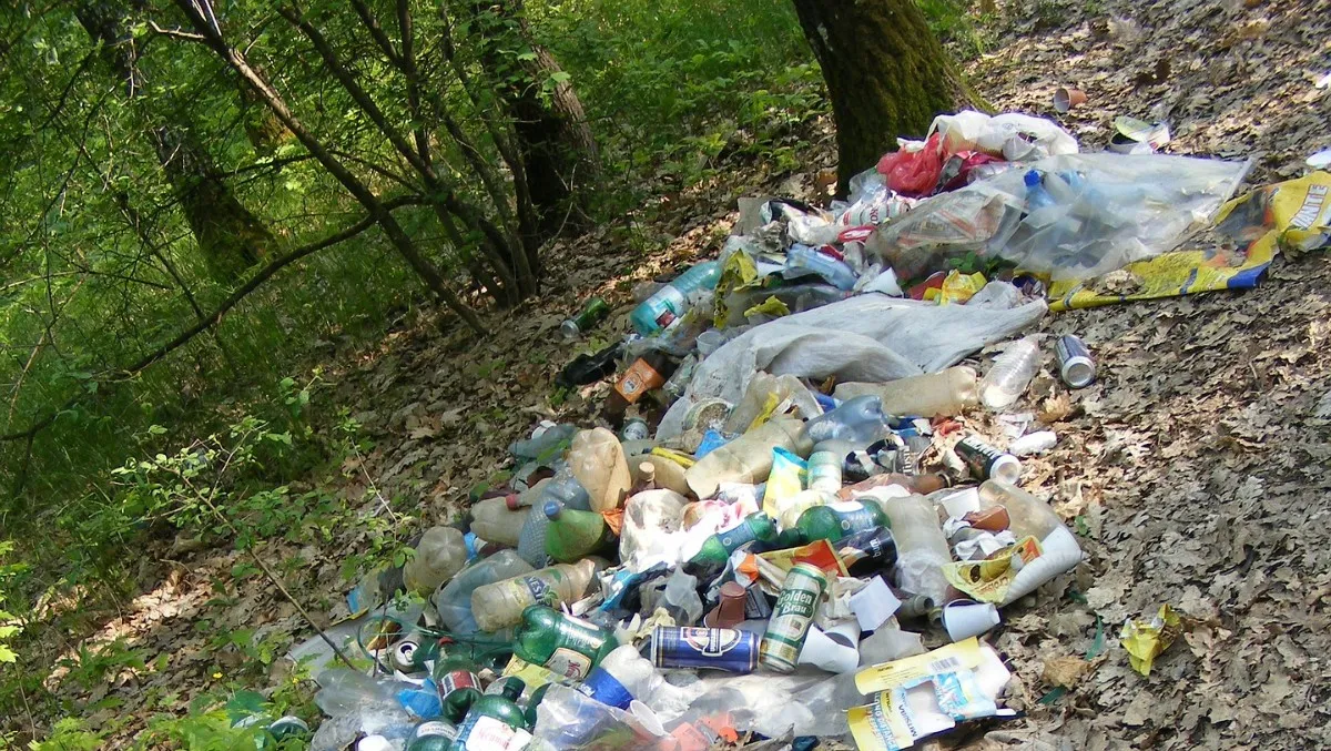 śmiecenie-w-lasach-prawo
