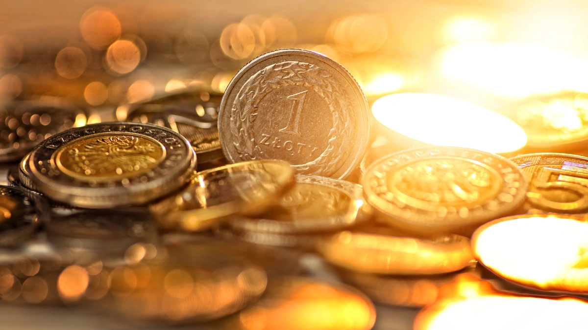 złoty złotówka