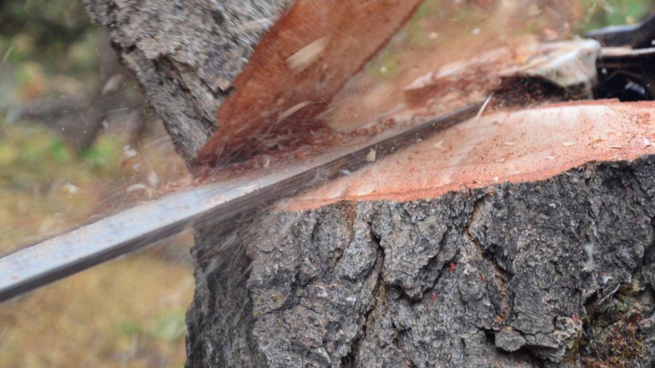 To nie węglowa Polska, ale zielone kraje nordyckie będą winne katastrofie klimatycznej
