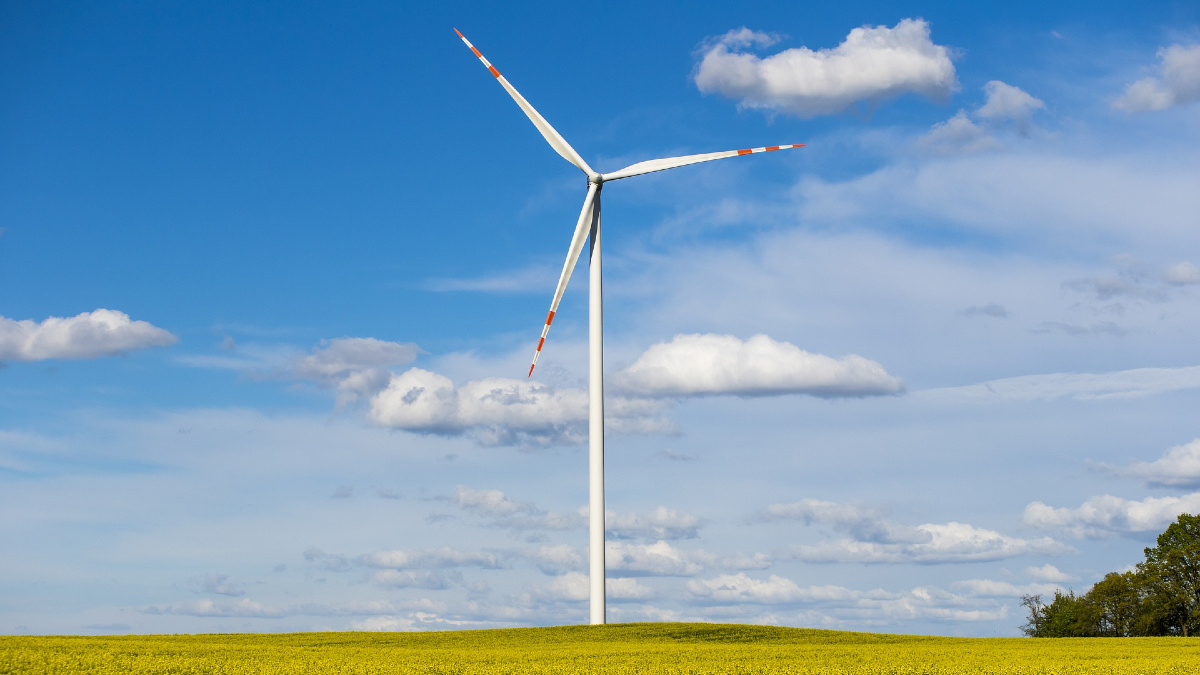 oze-import-paliw-forum-energii