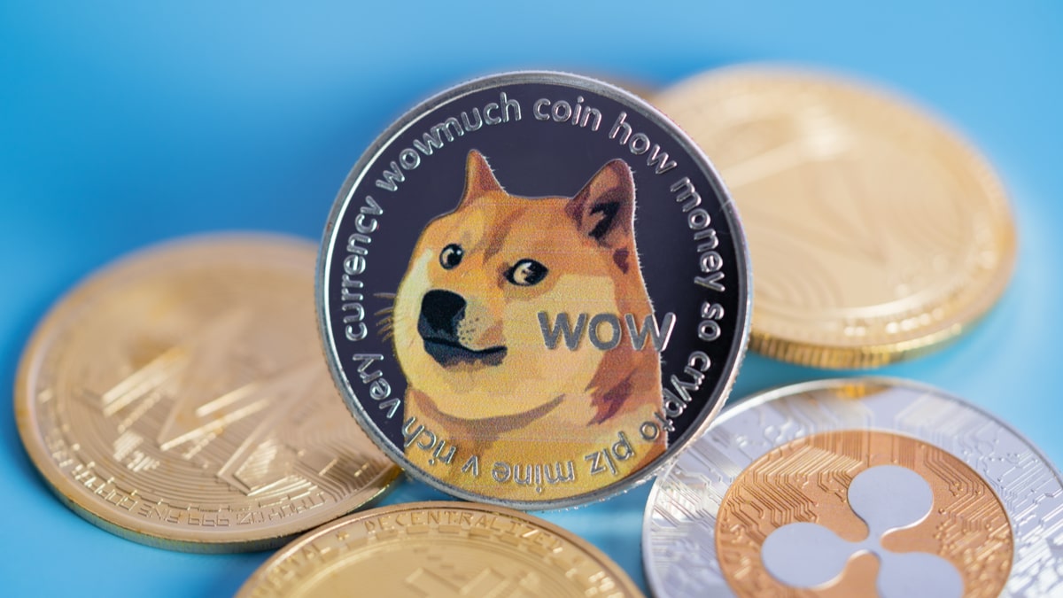 Robinhood zarobi mniej. Ludzie nie chcą już kryptowaluty mema, ale może kupią dezodorant