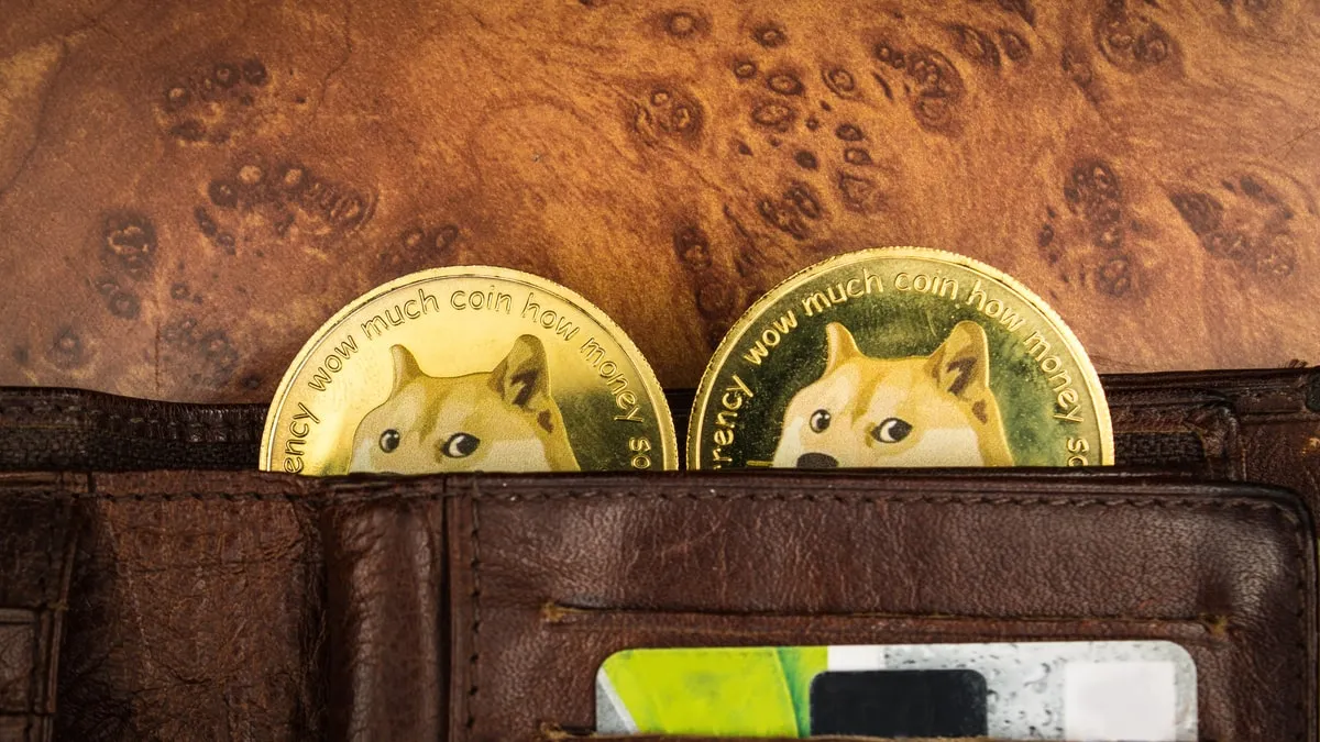BTC to przeżytek. Zobaczcie, co się dzieje z dogecoinem