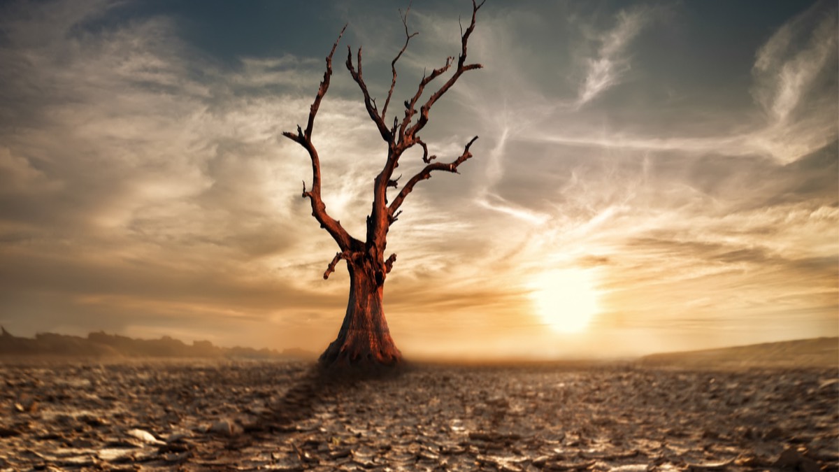 zmiany-klimatu-rekord-temperatur