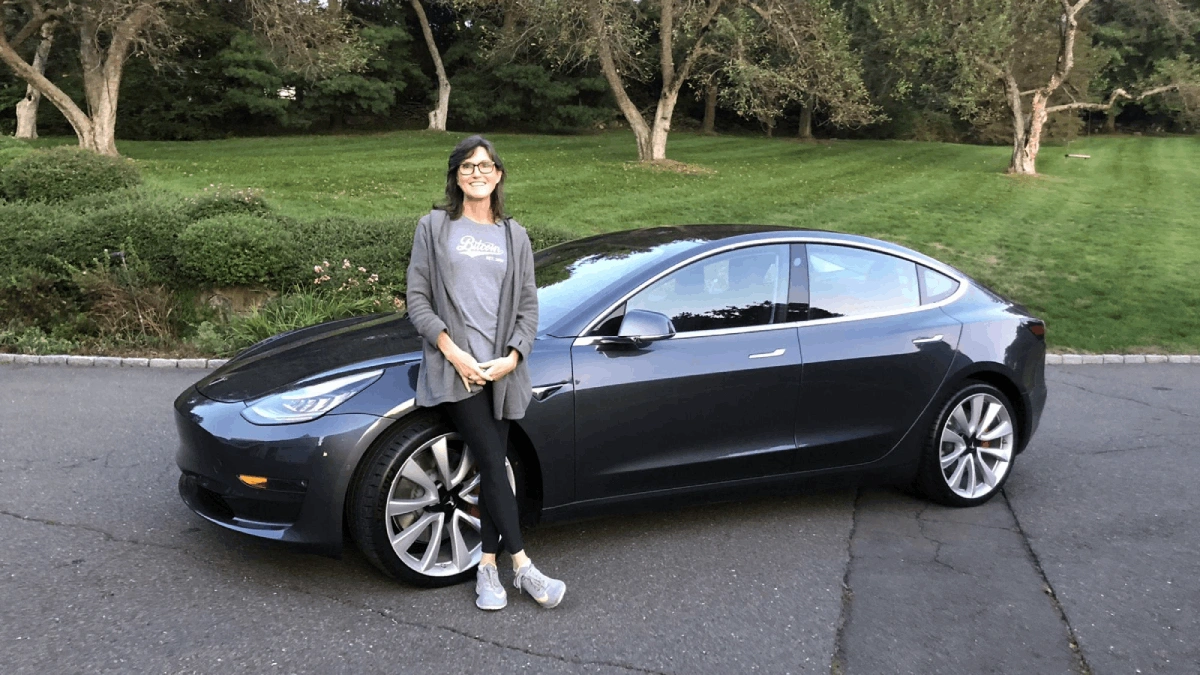 cathie wood tesla