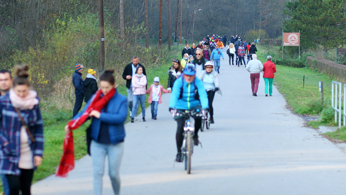 Mandaty dla rowerzystów i hulajnogistów. Straż miejska dostanie nowe uprawnienia