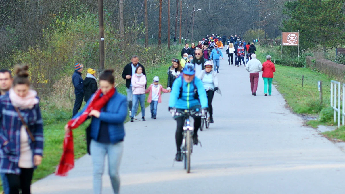 Mandaty dla rowerzystów i hulajnogistów. Straż miejska dostanie nowe uprawnienia