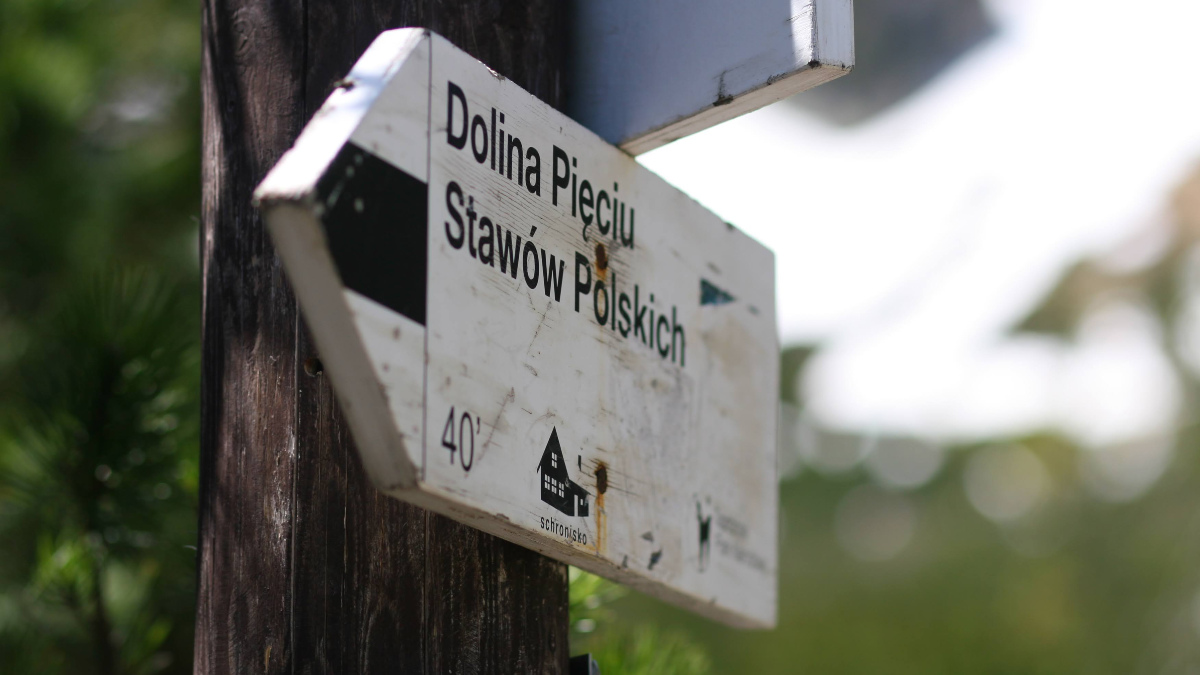 Plany na majówkę. Strach Polaków przed wojną widać jak na dłoni