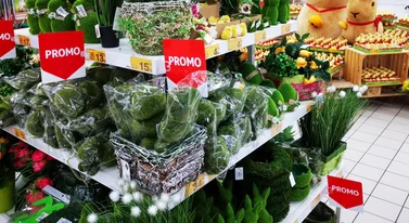 Najtańsze zakupy przed świętami. Te trzy sklepy to pewniaki