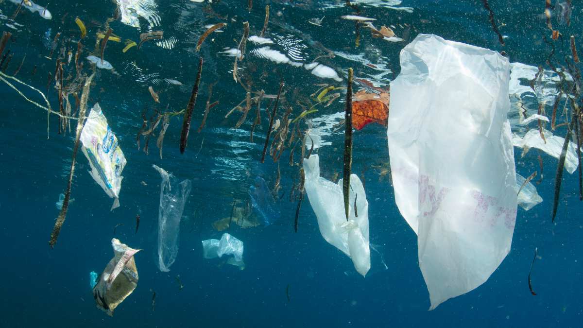 Plastikowe jednorazówki i słomki odchodzą do lamusa. Kolejny kraj wprowadza zakaz