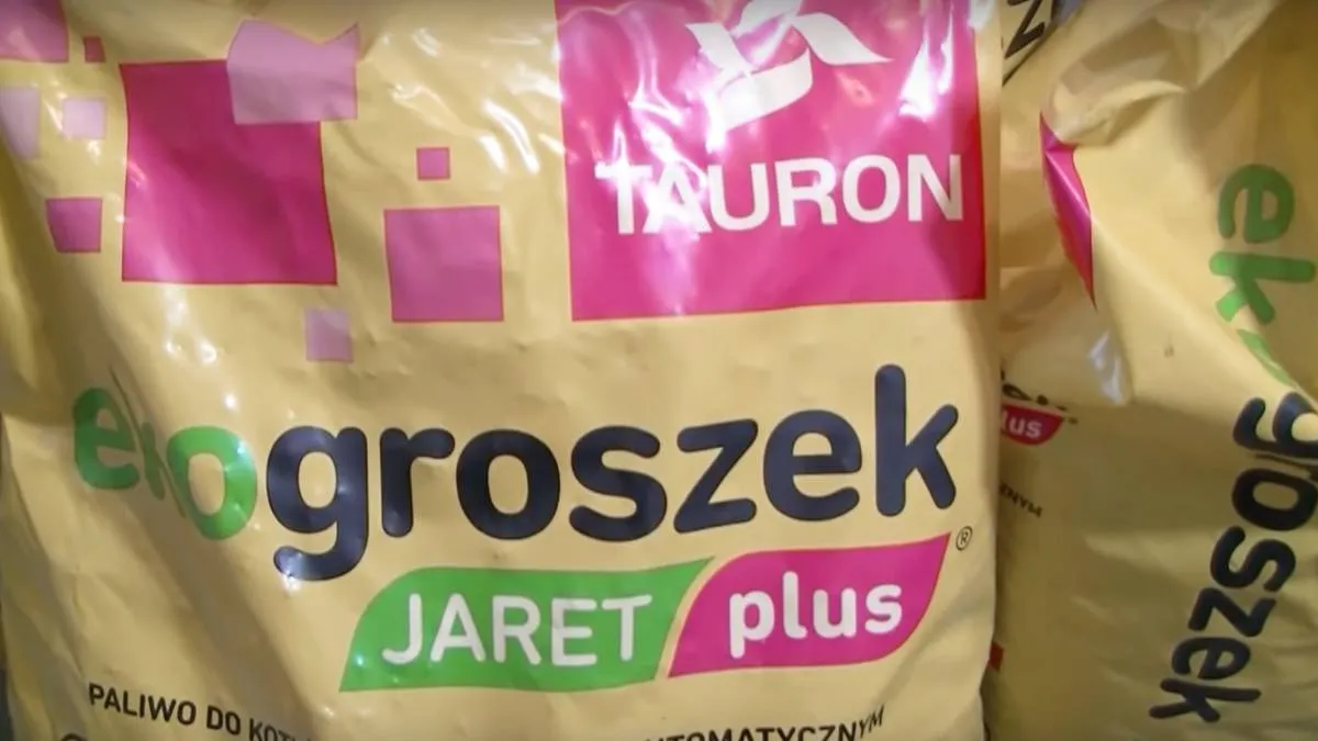 Wiecie, czemu ekogroszek z Tauronu jest lepszy niż z PGG? Bo można go kupić, ile się chce. Czołowy załawiacz węgla potwierdza