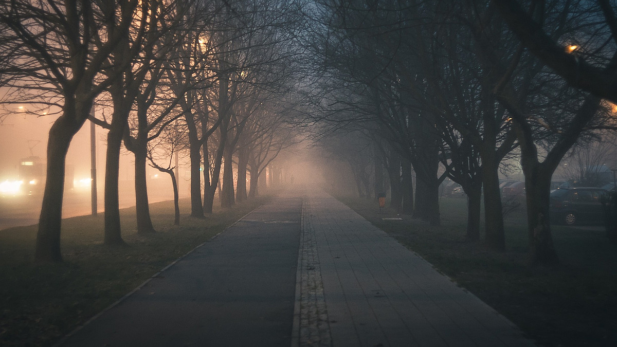 smog-powietrze-aktywnosc-rzad