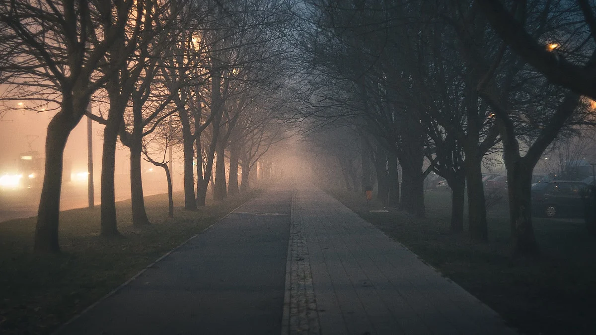 smog-powietrze-aktywnosc-rzad