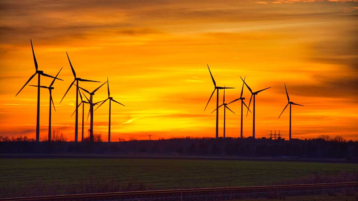 energetyka-wiatrowa-cena-enrgii-miejsca-pracy