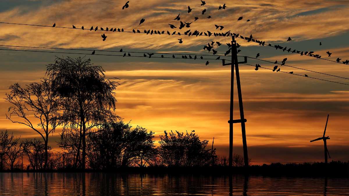 Stało się. Polacy zostali okradzeni z energii wartej miliardy złotych