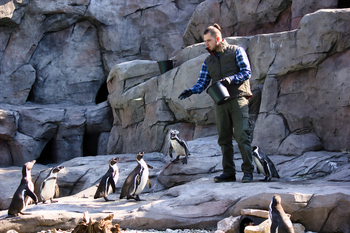 podwyzki-cen-ogrody-zoologiczne