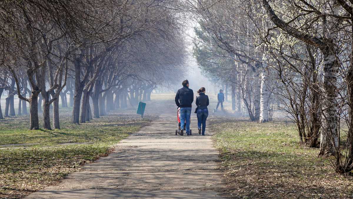 Delektujesz się ciszą w parku, a tu nagle piekielny wizg kosiarki. Też tak cię wkurza zanieczyszczenie hałasem?