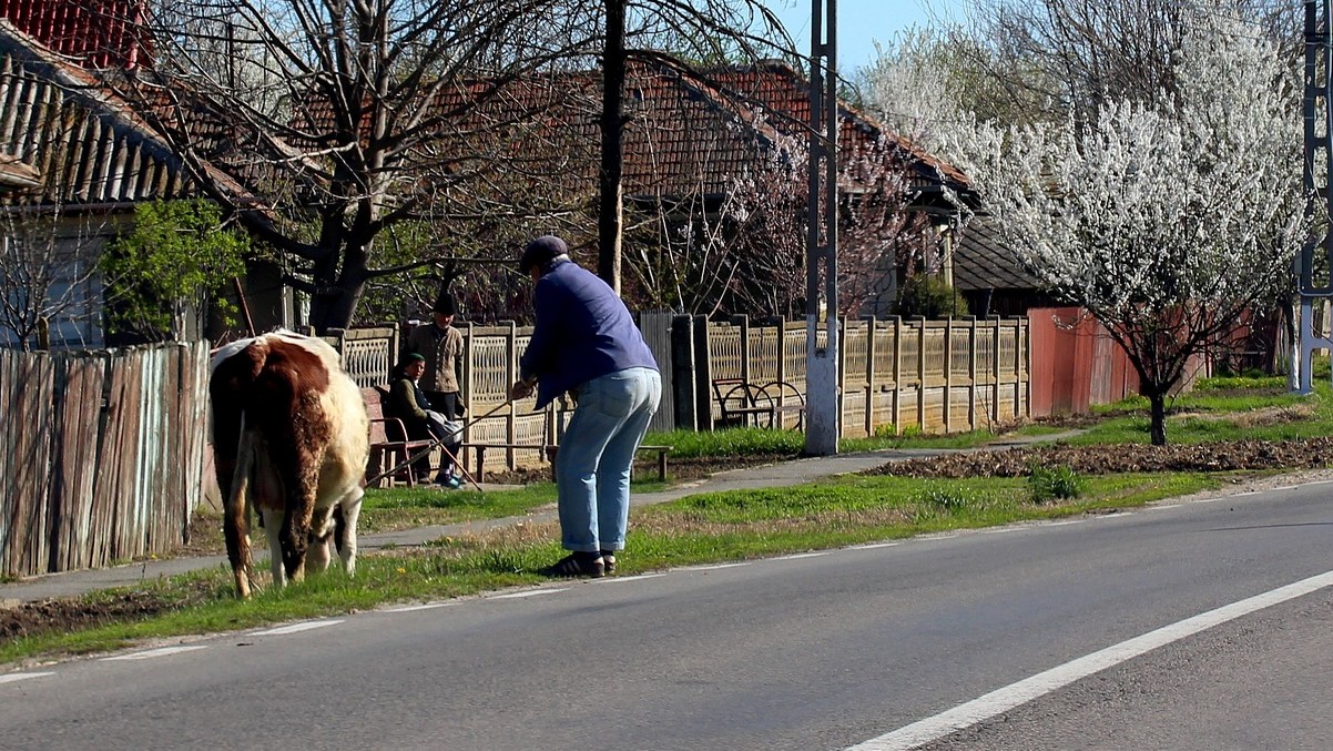 Sute emerytury dla rolników za minimalne składki. To tylko przykrywka, ale reszta Polaków powinna się zbuntować