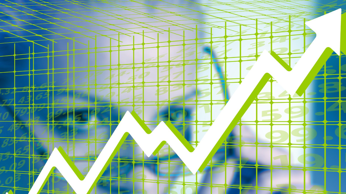 Private equity – co to jest, jak działa?
