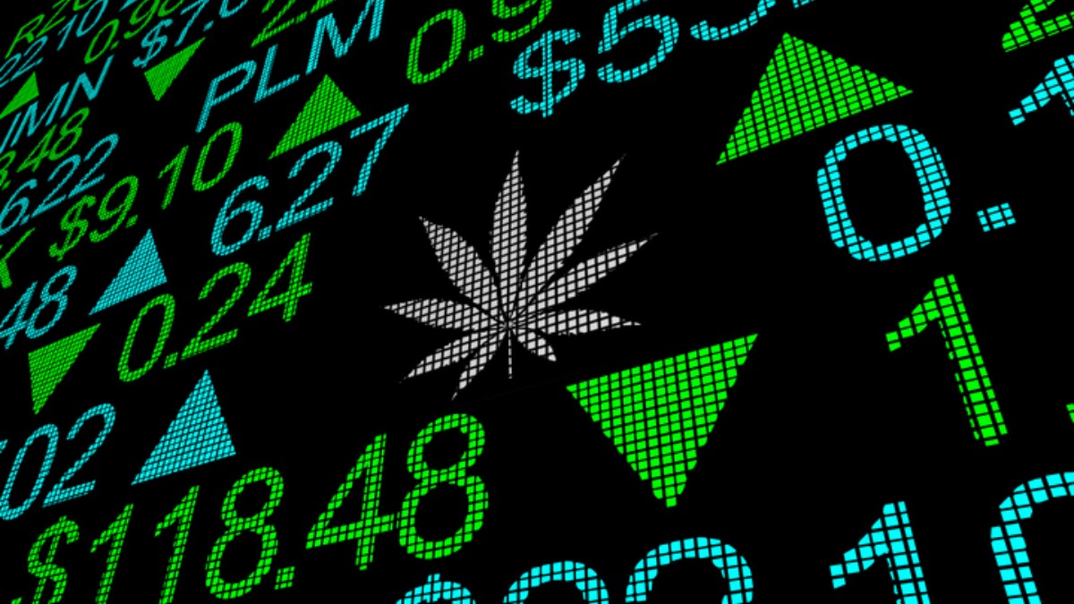 marihuana-legalizacja-budzet