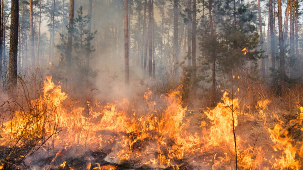 emisja-CO2-Kanada-jakosc-powietrza