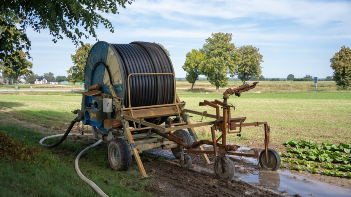susza-zakazy-dla-mieszkancow