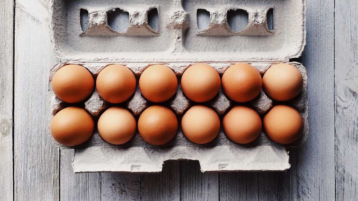 Salmonella w jajkach z dyskontu