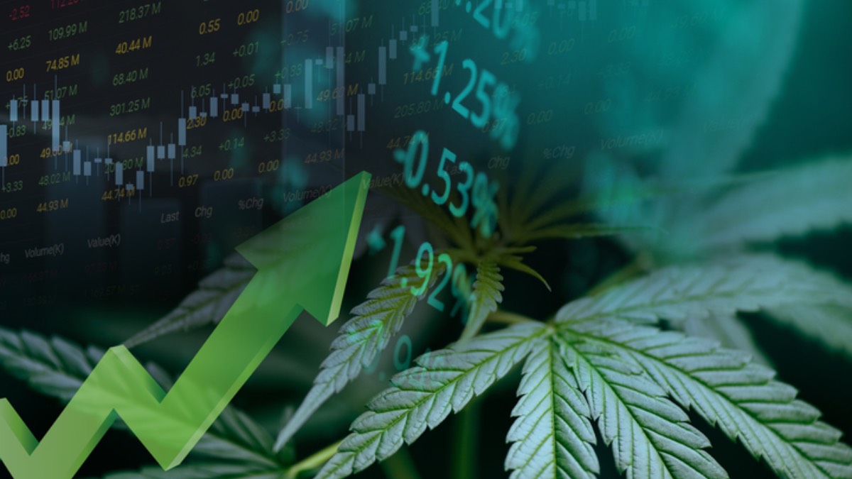 marihuana-rynek-konopi-Niemcy