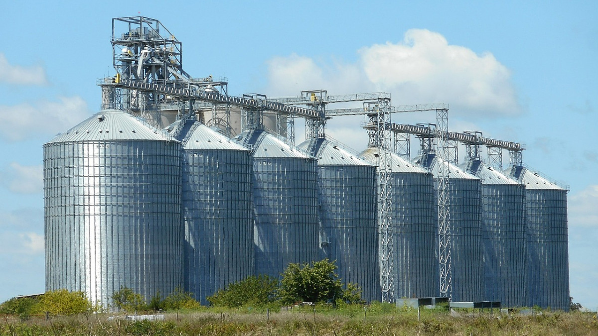 Nowy wątek w aferze zbożowej. Podejrzany wzrostu cen silosów