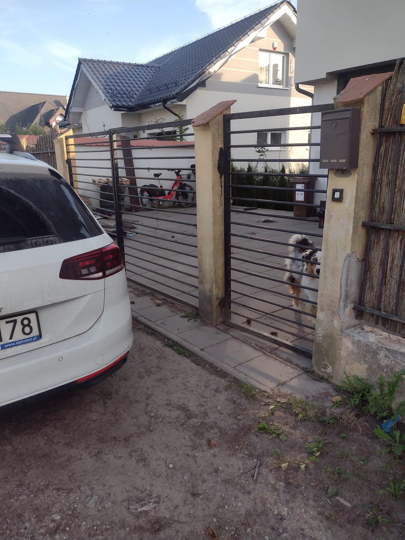 Zdarza się, że rowery przetrzymywane są na prywatnych posesjach 