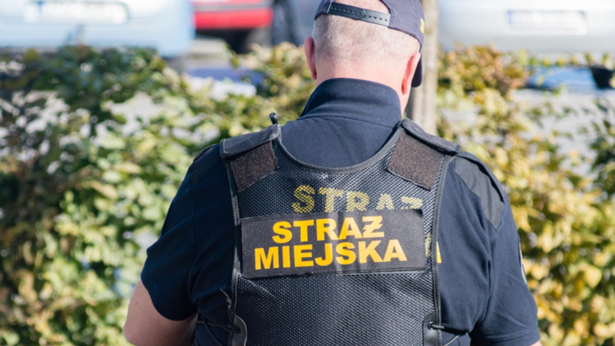 snog-straz-miejska-mandat-Poznan