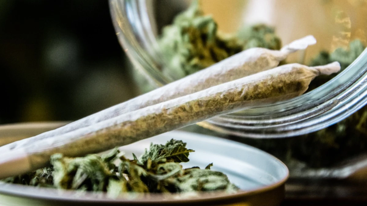 marihuana-konopie-indyjskie-Niemcy