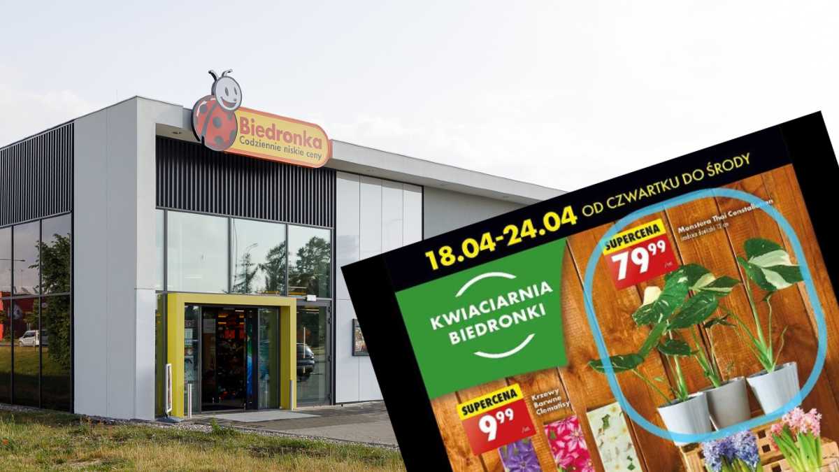 Klienci Biedronki zabijają się o kolekcjonerskie kwiaty. Nawet flipperzy ruszyli na łowy