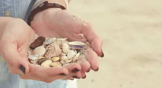 Ząb rekina, gigantyczne kamienie, piękne muszelki. Jak narodził się pieniądz