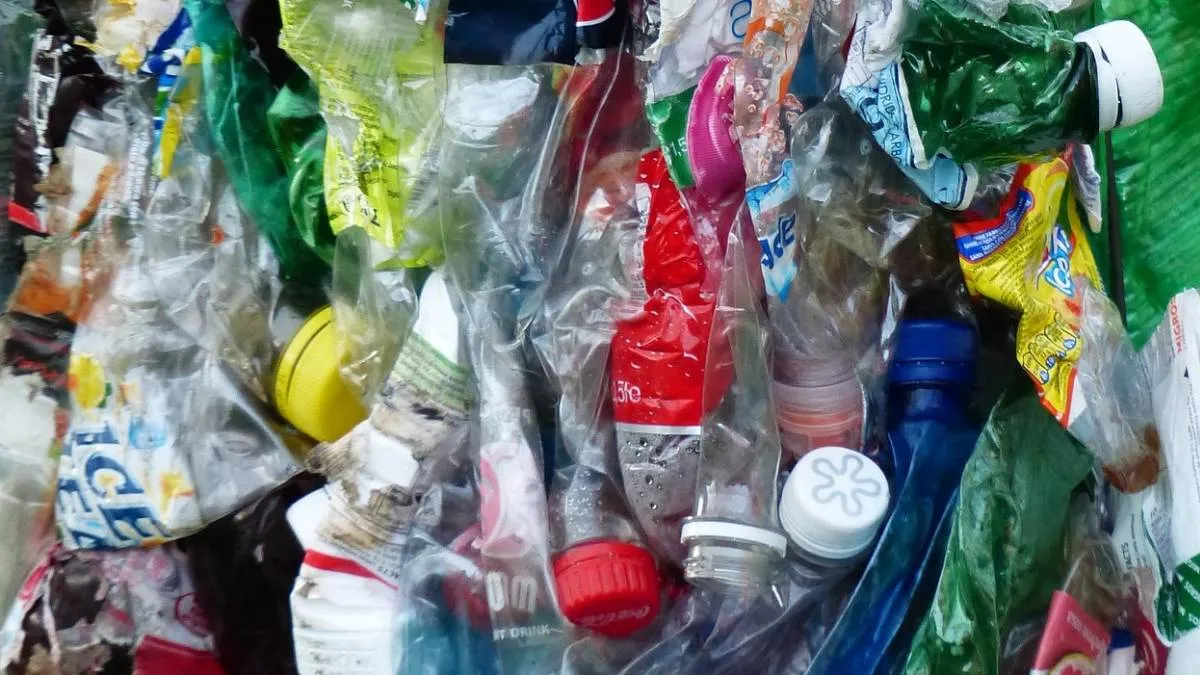 rozszerzona odpowiedzialność producenta a branża rolno-spożywcza