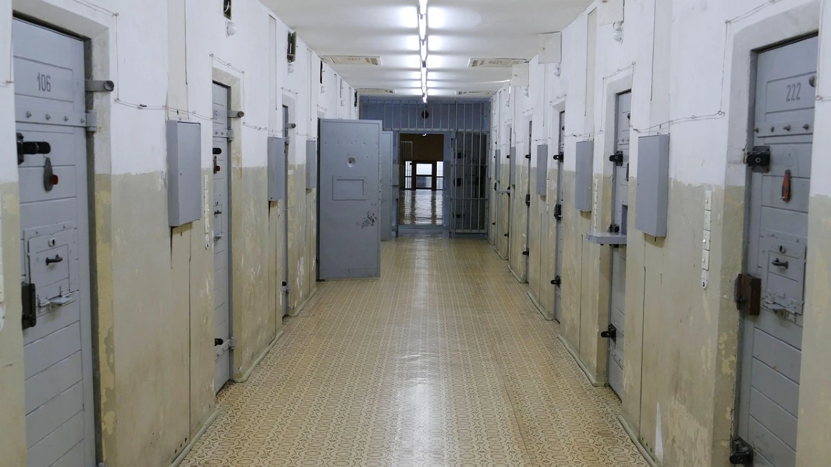 areszt tymczasowy elektroniczny nowelizacja