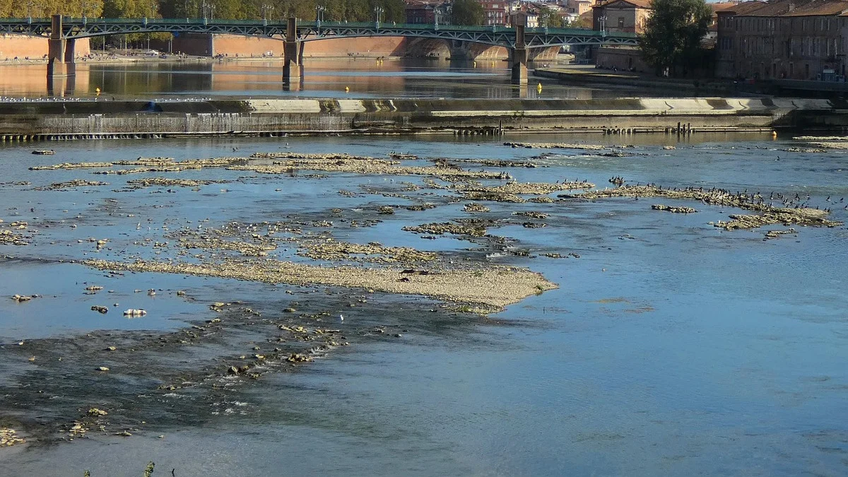 susza hydrologiczna niski stan wod w rzekach