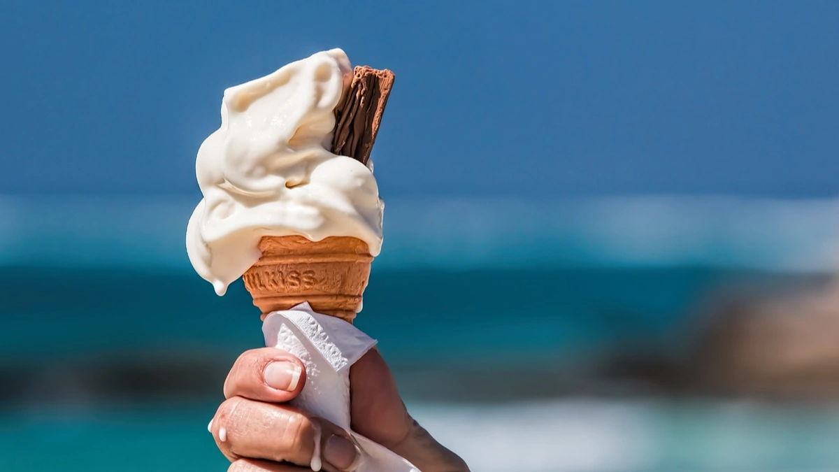Lody IJHARS kontrola