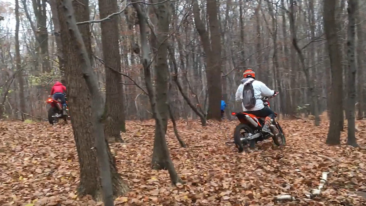 Koniec rumakowania na quadach i crossach. Wyższe kary za szkodnictwo leśne